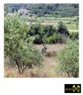 Zergruster Mittelelbagranit nahe Bivio Boni bei Portoferraio, Insel Elba, Italien - 17. Juli 2023 (13).JPG